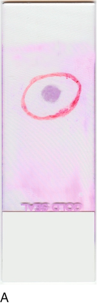 u24-01a-9780323322492