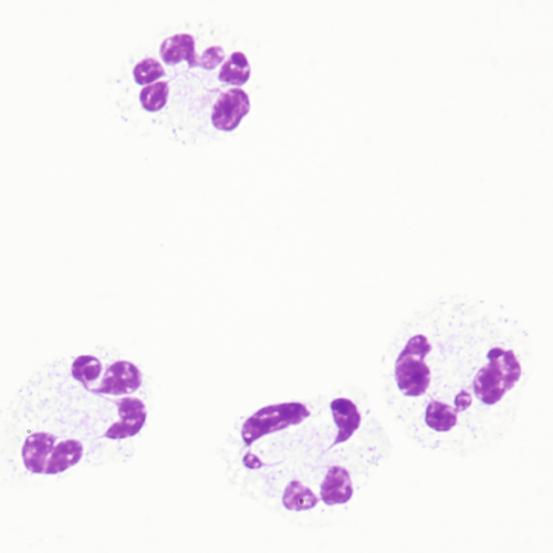 u24-02-9780323322492