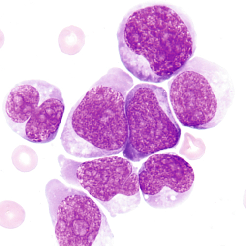 u24-06-9780323322492