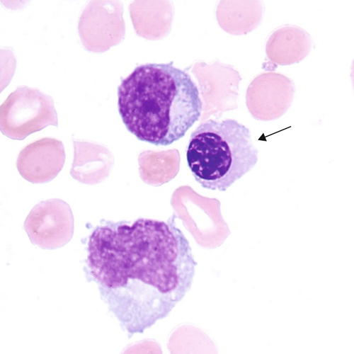 u24-07-9780323322492