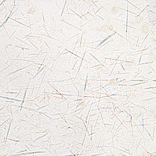 u24-31-9780323322492