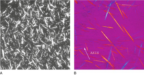 u24-32-9780323322492