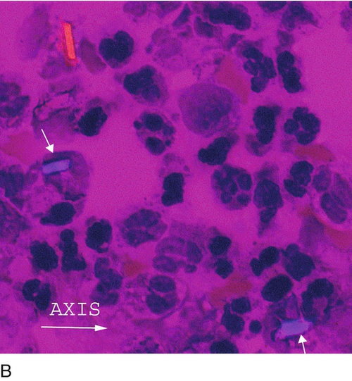 u24-34b-9780323322492