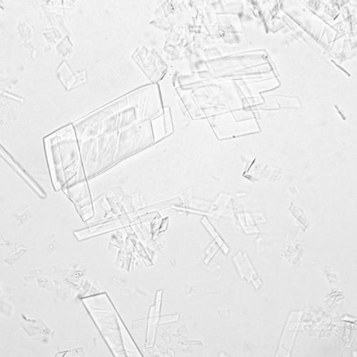 u24-35-9780323322492