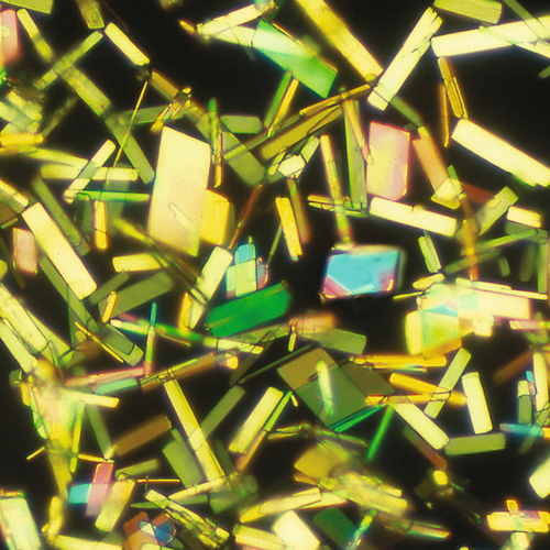 u24-36-9780323322492