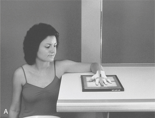 Radiography Essentials : For Limited Practice