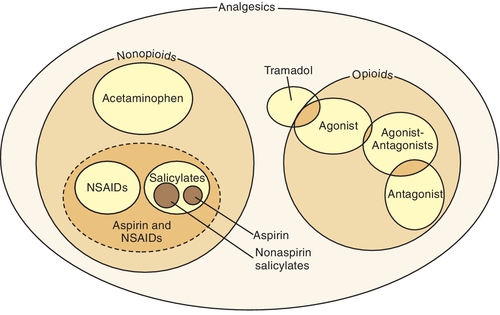f05-02-9780323171113