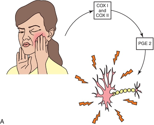 f05-03a-9780323171113