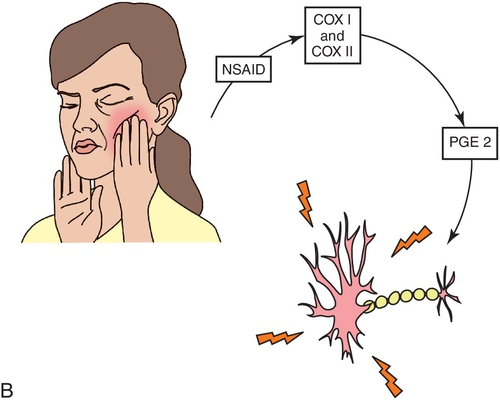 f05-03b-9780323171113