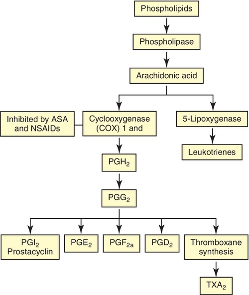 f05-04-9780323171113