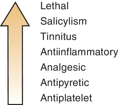 f05-05-9780323171113