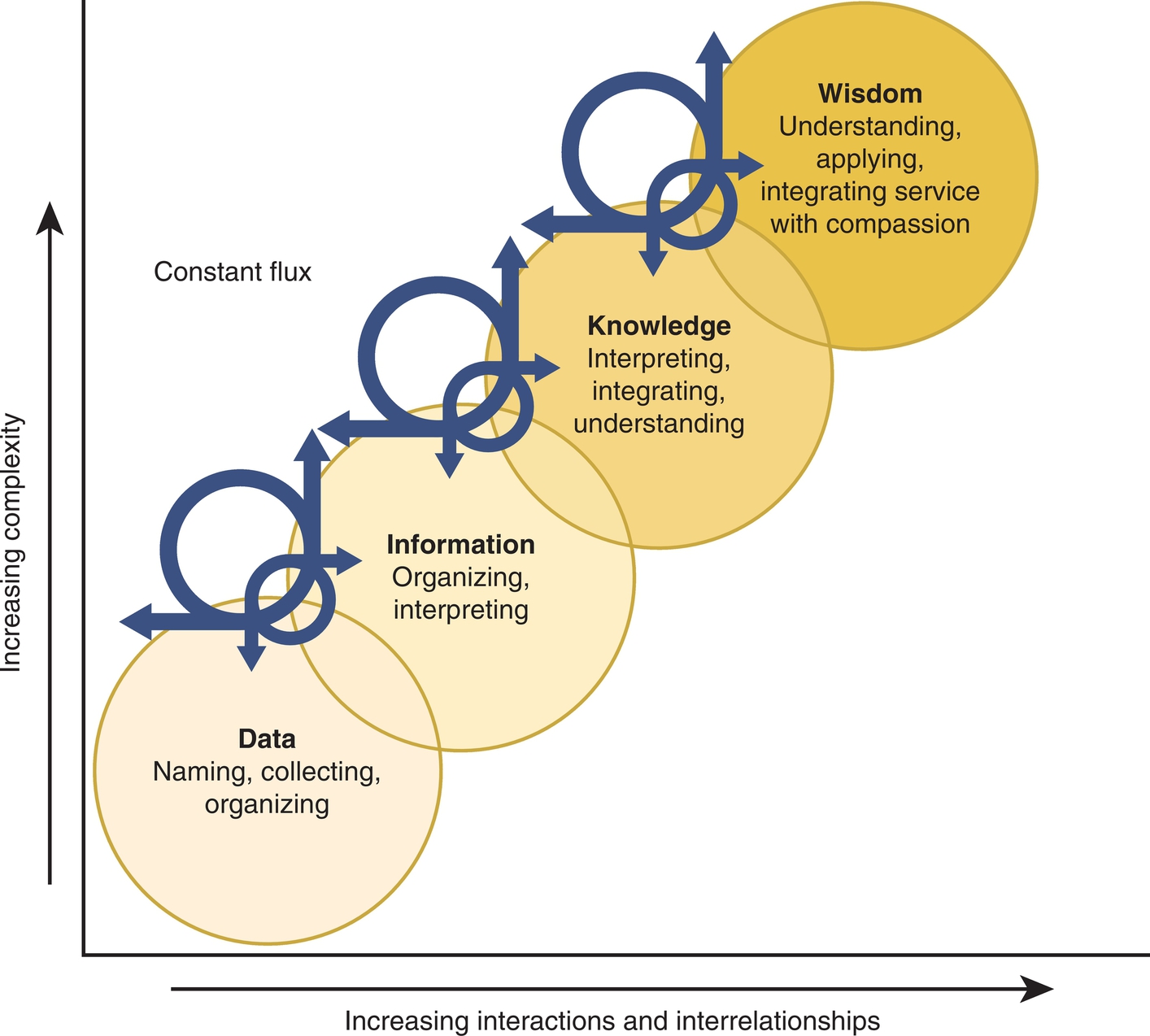 f02-06-9780323402316