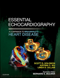 Essential Echocardiography: A Companion to Braunwald’s Heart Disease E-Book