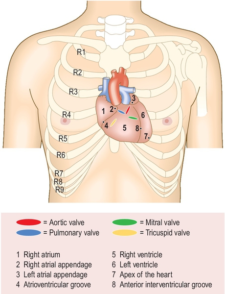 f03-01-9780702054815