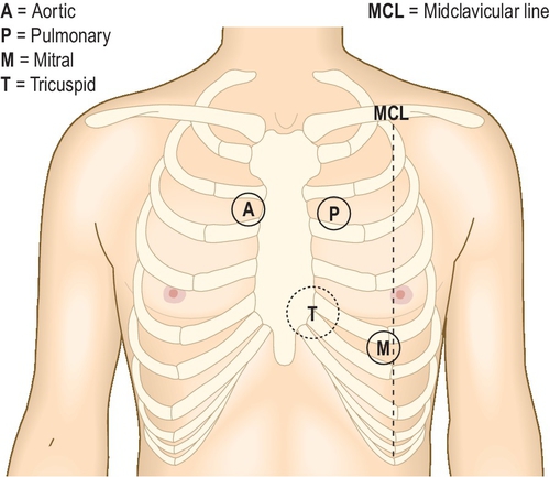 f03-02-9780702054815