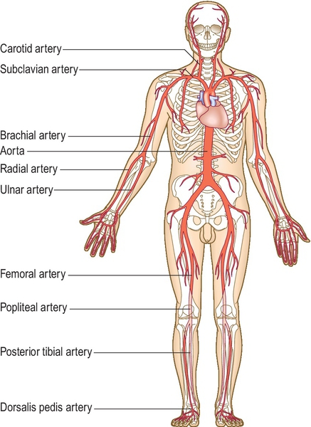 f03-03-9780702054815