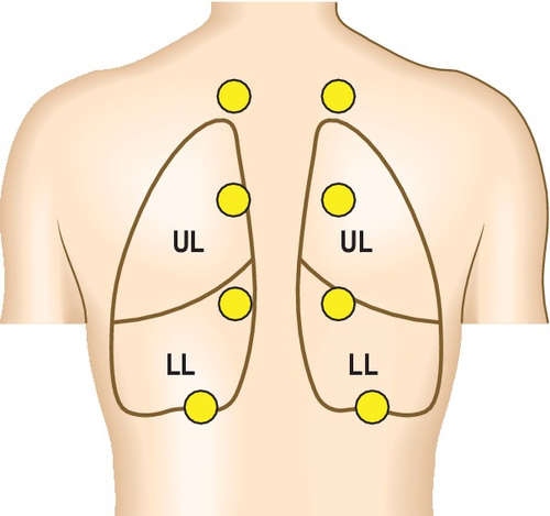 f03-05-9780702054815