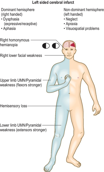 f03-15-9780702054815