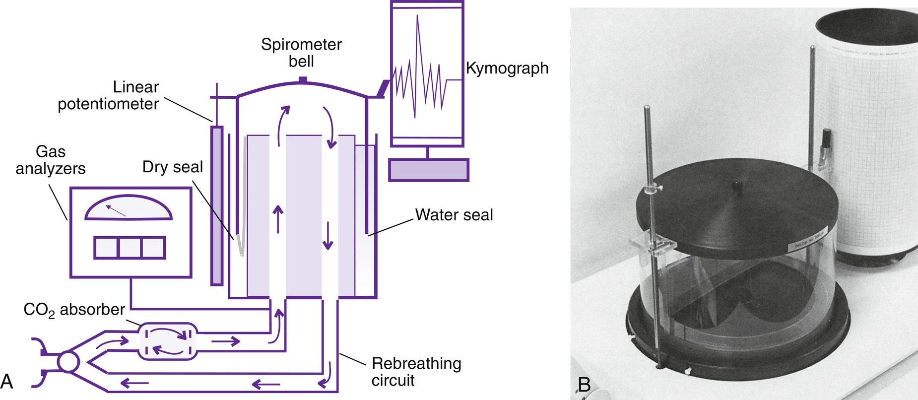 Ruppel's Manual of Pulmonary Function Testing
