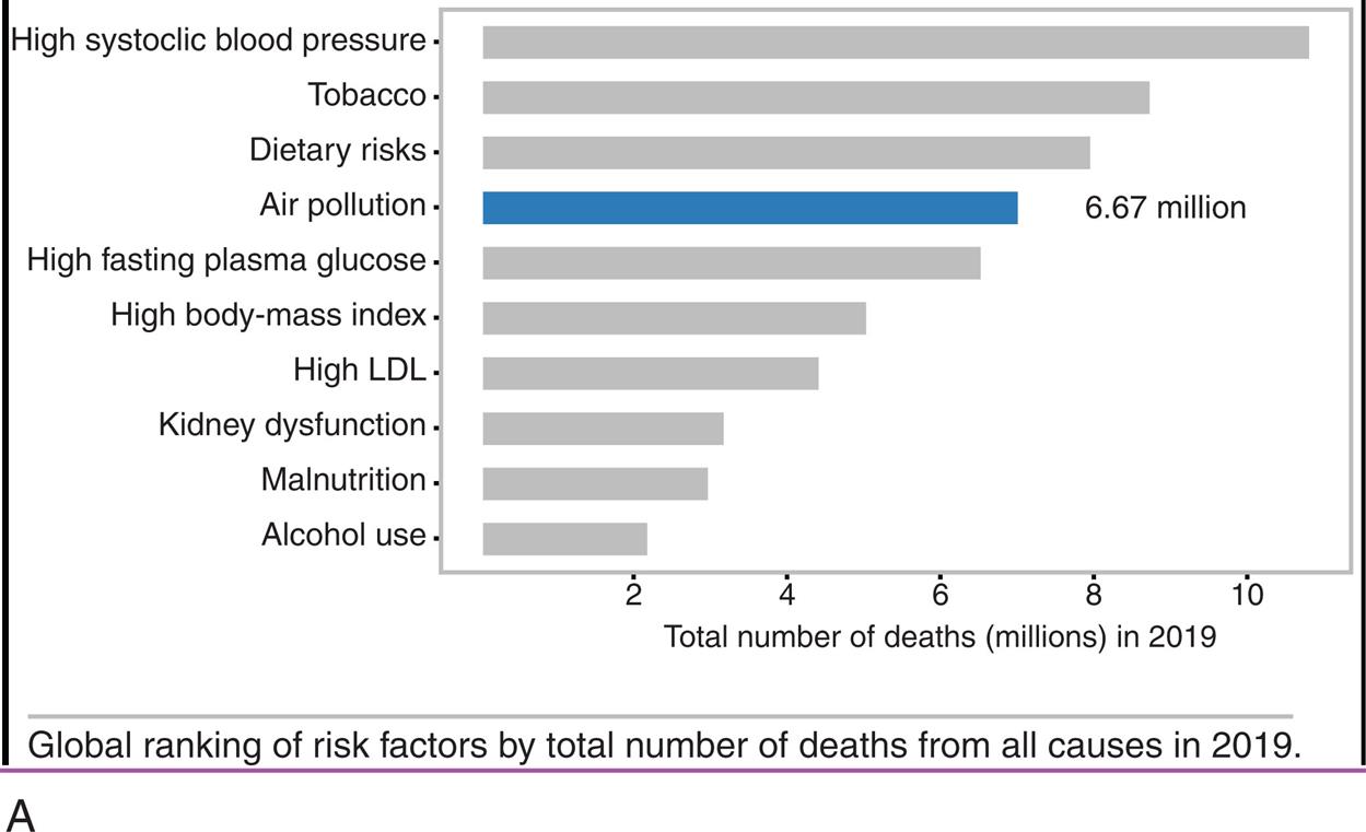 Part A is a horizontal bar graph ranking total number deaths in 2019, by cause. Approximate data from the graph are as follows. Dietary risks, 7.5 million. Air pollution, 6.67 million. High fasting plasma glucose, 6.3 million. High body-mass index, 5 million. High L D L, 4.5 million. Kidney dysfunction, 3.2 million. Malnutrition, 3 million. Alcohol use, 2.1 million. Part B is a pie chart showing the distribution of global deaths from individual pollutants. The data from the graph are as follows. Ambient P M sub 2.5, 7 percent; household air pollution, 4 percent; Ambient ozone, 1 percent; Other risk factors, 88 percent.