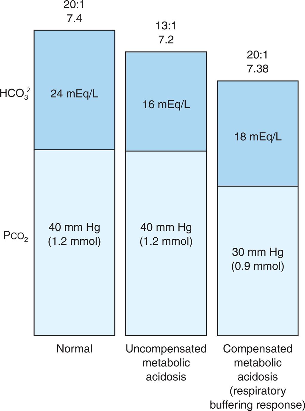 Three stacked bars represent ratios of partial pressure of carbon dioxide and bicarbonate in metabolic acidosis. Left bar, normal in the ratio 20 to 1 of 7.4. P C O sub 2, 40 millimeters of mercury or 1.2 millimoles. H C O sub 3 sup 2, 24 milliequivalents per liter. Middle bar, uncompensated metabolic acidosis in the ratio 13 to 1 of 7.2. P C O sub 2, 40 millimeters of mercury of 1.2 millimoles. H C O sub 3 sup 2, 16 milliequivalents per liter. Right bar, compensated metabolic acidosis or respiratory buffering response in the ration 20 to 1 of 7.38. P C O sub 2, 30 millimeters of mercury or 0.9 millimoles. H C O sub 3 sup 2, 18 milliequivalents per liter.