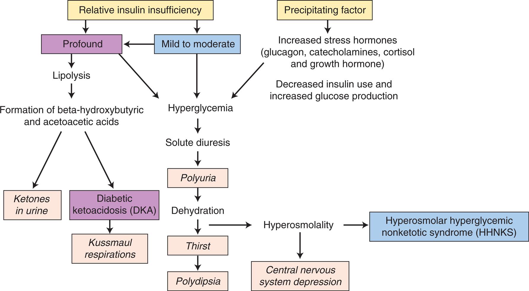 A flowchart represents the pathophysiology of diabetic ketoacidosis and hyperosmolar hyperglycemia nonketotic syndrome in diabetes mellitus. The sequence and relationships are as follows. 1. Relative insulin insufficiency. Could be of type 2 and 3. 2. Profound. Leads to 4 and 9. 3. Mid to moderate. Could aggravate to 2 or lead to 10. 4. Lipolysis. Leads to 5. 5. Formation of beta-hydroxybutyric and acetoacetic acids. Leads 6 and 7. 6. Ketones in urine. 7. Diabetic ketoacidosis (D K A). Leads to 8. 8. Kussmaul respirations. 9. Hyperglycemia. Leads to 10. 10. Solute diuresis. Leads to 11. 11. Polyuria. Leads to 12. 12. Dehydration. Leads 13 and 15. 13. Thirst. Leads to 14. 14. Polydipsia. 15. Hyperosmolality. Leads to 16 and 17. 16. Hyperosmolar hyperglycemic nonketotic syndrome (H H N K S). 17. Central nervous system depression. 18. Precipitating factor. Leads to 19 and 20. 19. Increased stress hormones (glucagon, catecholamines, cortisol and growth hormone). 20. Decreased insulin use and increased glucose production.