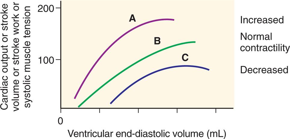 A graph shows the effect of changes in myocardial contractility on the Frank-Starling curve. The horizontal axis represents the ventricular end-diastolic volume given in milliliters. The vertical axis represents the cardiac output or stroke volume or stroke work or systolic muscle tension, ranging from 0 to 200. The curve shifts downward and to the right as contractility is decreased. Stroke volume in response to increased left ventricular end-diastolic volume in heart failure.