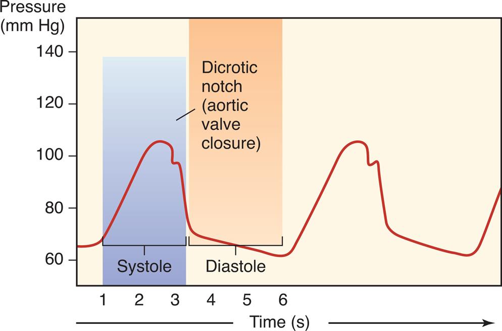 A graph shows the arterial pressure pulse waveform plotting pressure against time, indicating the dicrotic notch within the systole. The horizontal axis represents time in seconds. The vertical axis represents the pressure in millimeters of mercury. The waveform shows an alternating upstroke and downstroke with the dicrotic notch in a regular pattern.