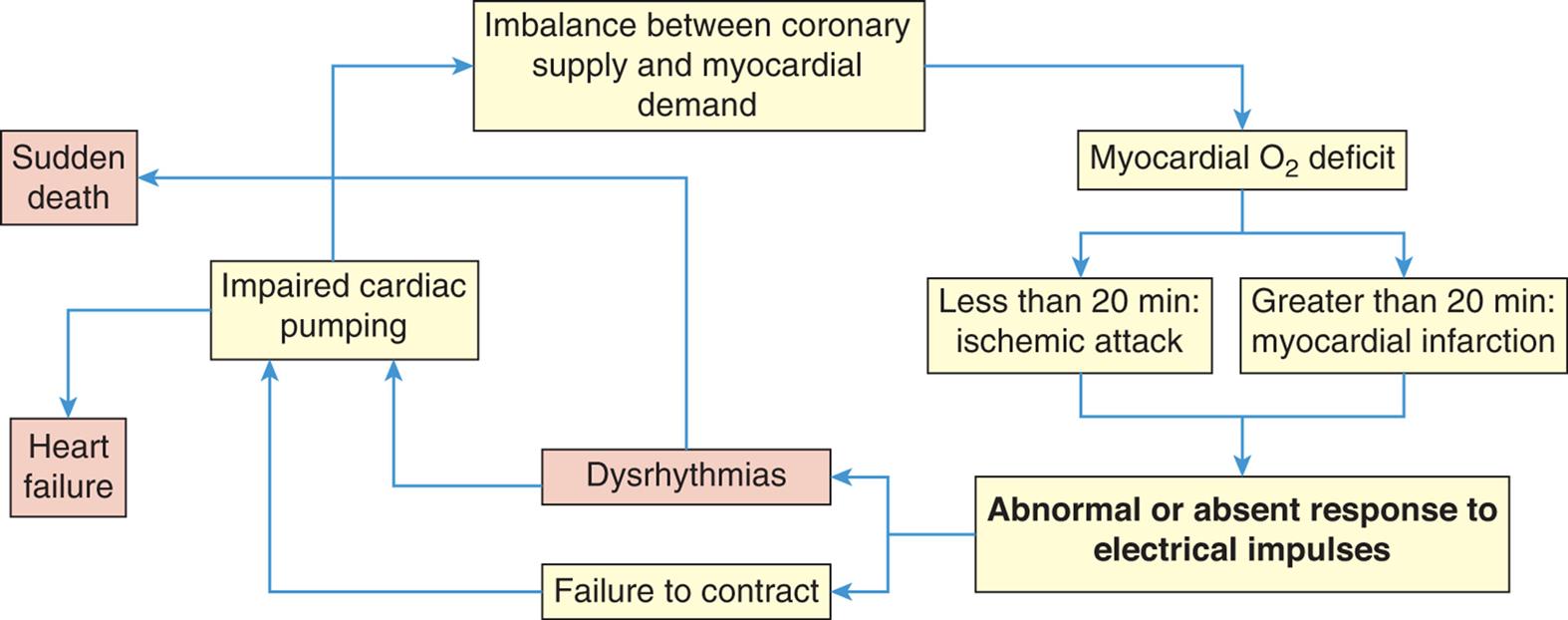 A flowchart shows the cycle of myocardial ischemic events. 1. Imbalance between coronary supply and myocardial demand. Leads to 2. 2. Myocardial oxygen deficit. Leads to 3 or 4. 3. Less than 20 minutes: ischemic attack. Leads to 5. 4. Greater than 20 minutes: myocardial infraction. Leads to 5. 5. Abnormal or absent response to electrical impulses. Leads to 6 or 7. 6. Dysrhythmias. Leads to 8 or 10. 7. Failure to contract. Leads to 8. 8. Impaired cardiac pumping. Leads to 1 or 9. 9. Heart failure. 10. Sudden death.