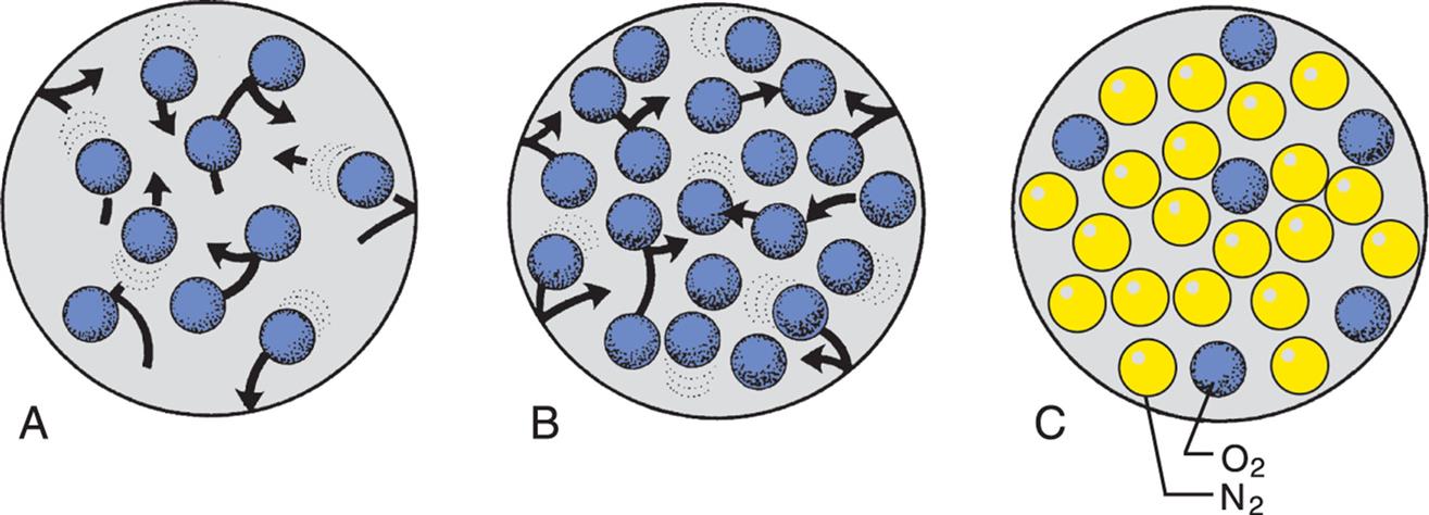 Illustration A shows ten oxygen molecules in an enclosed space moving in different directions. Illustration B shows twenty oxygen molecules in an enclosed space moving in different directions. Illustration C shows six oxygen molecules and nineteen nitrogen molecules packed in an enclosed space.