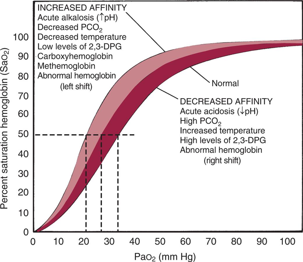 A graph plots the oxyhemoglobin dissociation curve. The vertical axis, representing percent saturation hemoglobin (saturation of hemoglobin in arterial blood), ranges from 0 to 100 in increments of 10. The horizontal axis, representing partial pressure of oxygen (millimeters of mercury), ranges from 0 to 100 in increments of 10. Two thick concave-down curves are plotted on the graph rise from (0, 0), curve at about (50, 70) and (50, 80), and flatline through (100, 90). The lower curve is normal and represents decreased affinity: acute acidosis (decreased p H), high partial pressure of carbon dioxide, increased temperature, high levels of 2, 3-D P G, and abnormal hemoglobin (right shift). The upper curve represents increased affinity: acute alkalosis (decreased p H), decreased partial pressure of carbon dioxide, decreased temperature, low levels of 2, 3-D P G, carboxyhemoglobin, methemoglobin, and abnormal hemoglobin (left shift).