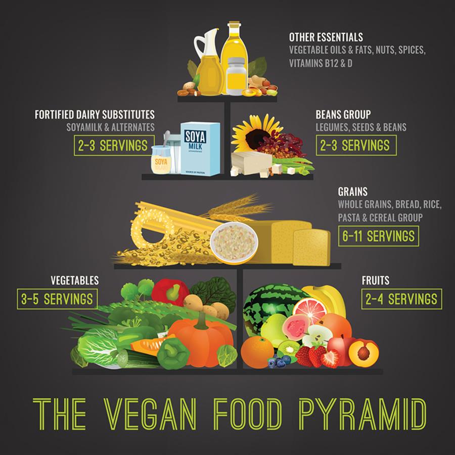Illustration of the Vegan Food Pyramid shows the following from top to bottom: • Other essentials: vegetable oils and fats, nuts, spices, vitamin B1 2 and D. • Beans group: legumes, seeds and beans (2 to 3 servings) and fortified dairy substitutes including soya milk and alternatives (2 to 3 servings). • Grains: whole grains, bread, rice, pasta and cereal group (6 to 11 servings). • Fruits (2 to 3 servings) and vegetables (3 to 5 servings).