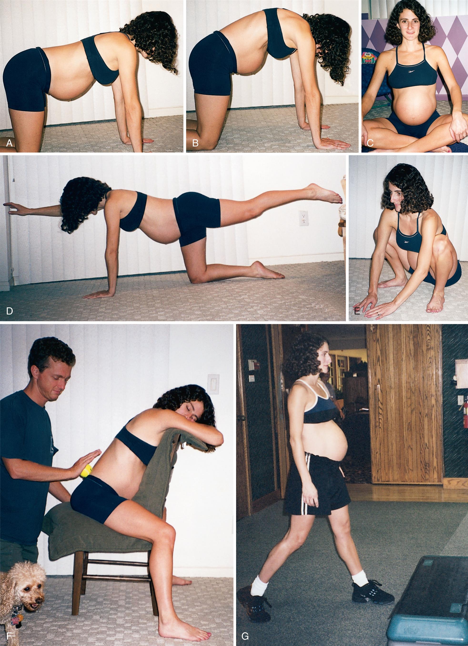 A) A pregnant female bends on her knees and palms with her back straight. B) A pregnant female bends on her knees and palms with her back stretched upwards. C) A pregnant female sits with her legs folded and hands placed on her knees. D) A pregnant female stretching such that her right arm and left leg is parallel to the floor surface, while her left arm and right leg (knee) is perpendicular to the floor. E) A pregnant female sits in squats position with her hands placed on ground. F) A pregnant female sits on chair while her partner rolls the tennis ball on her back. G) A pregnant female stepping forward.