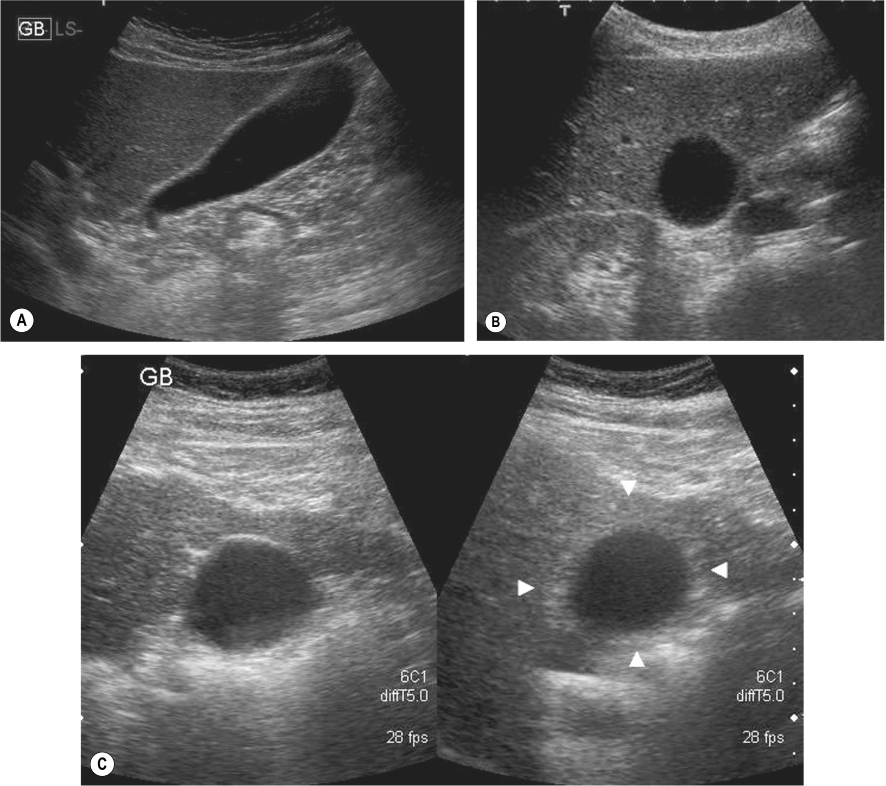 Fig. 3.1
