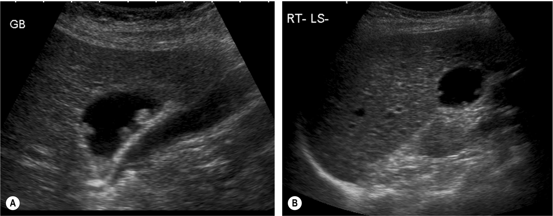 Fig. 3.31