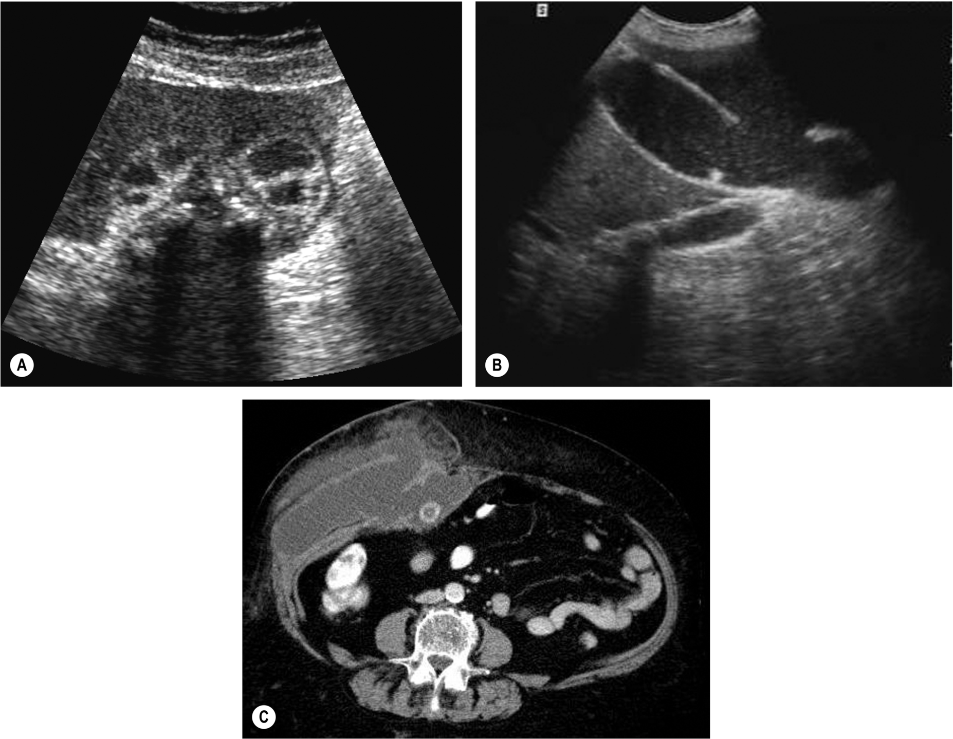 Fig. 3.38