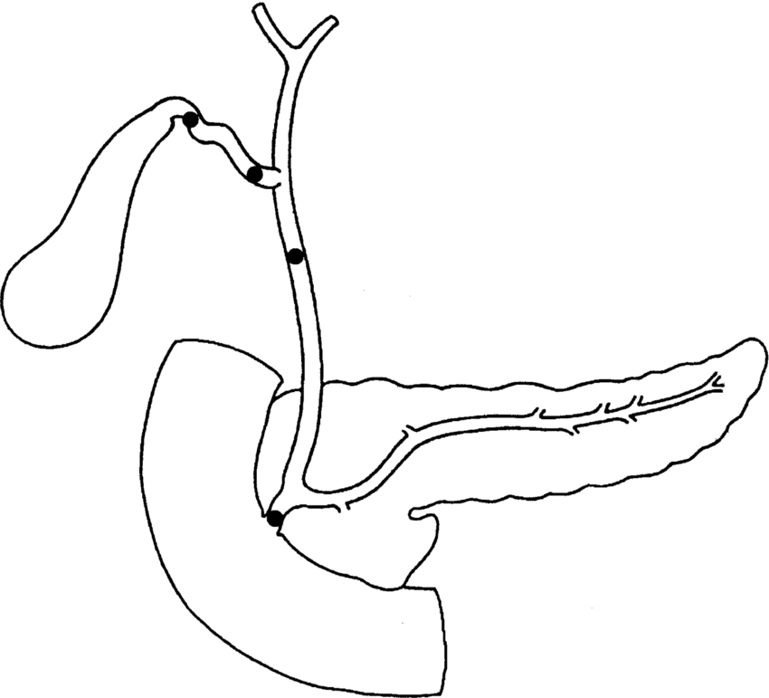 Fig. 3.42