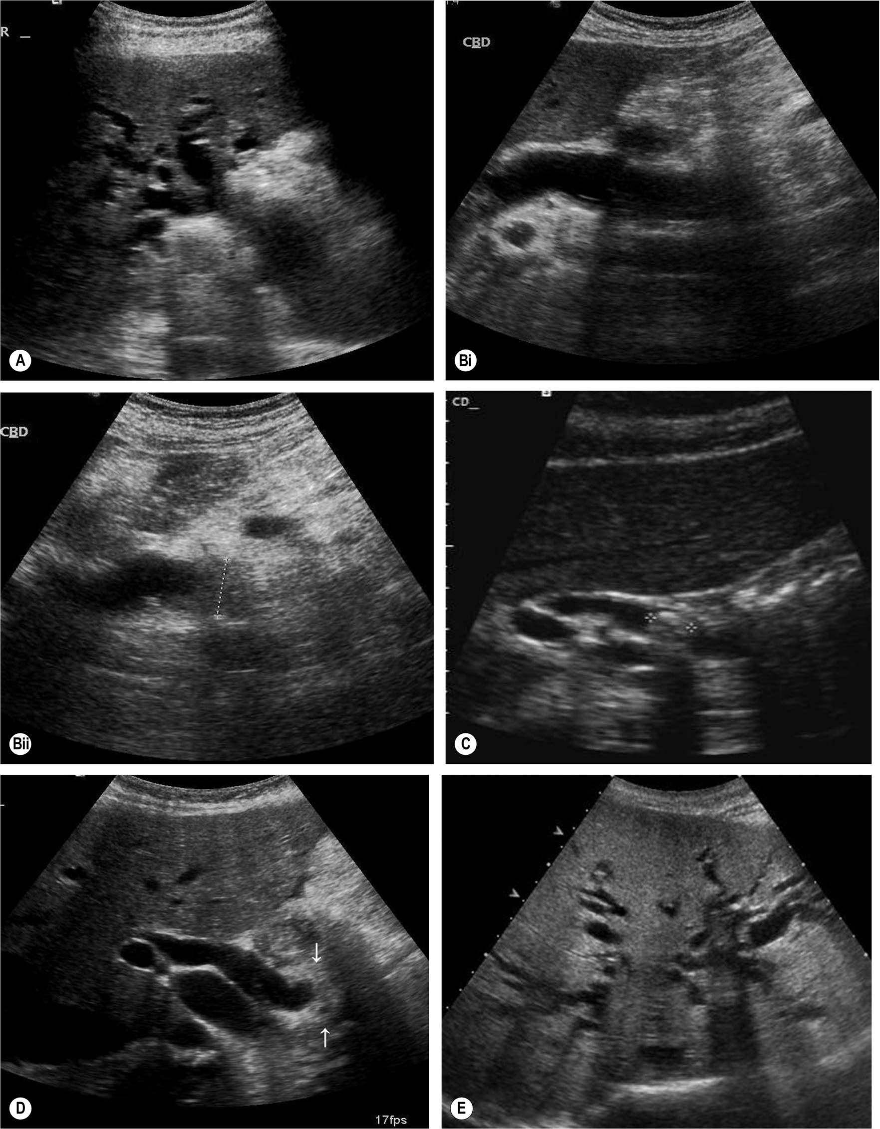 Fig. 3.44