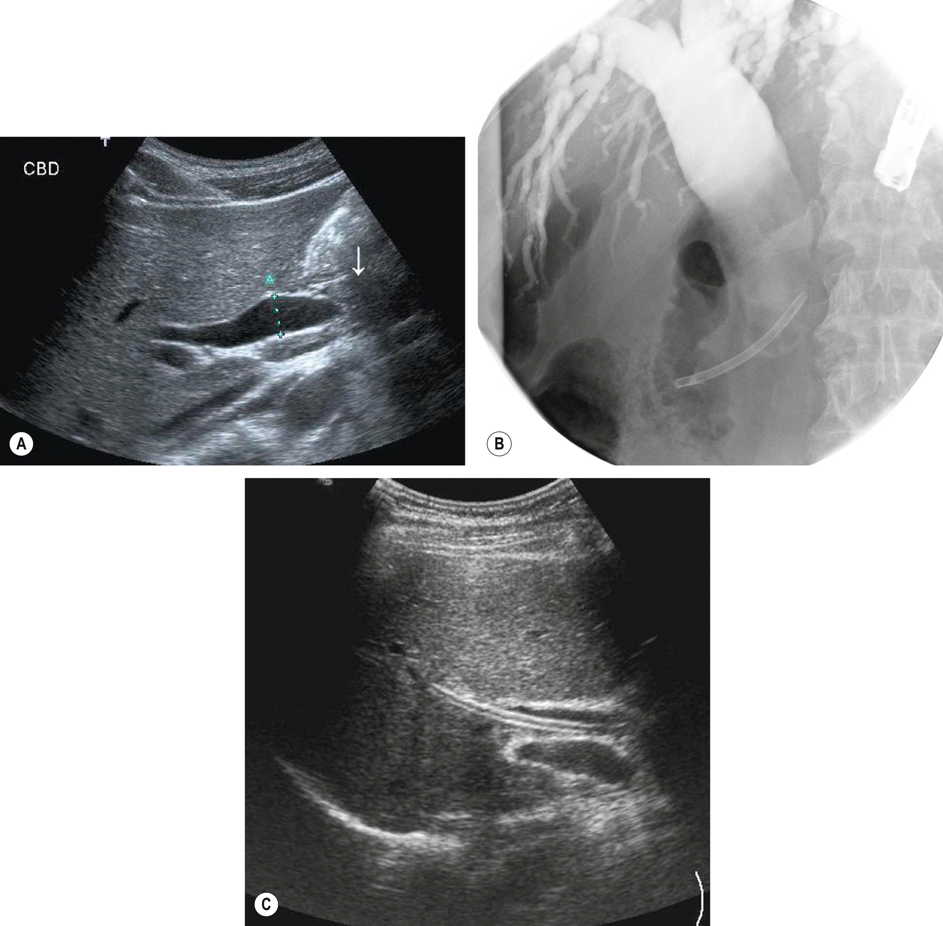 Fig. 3.45