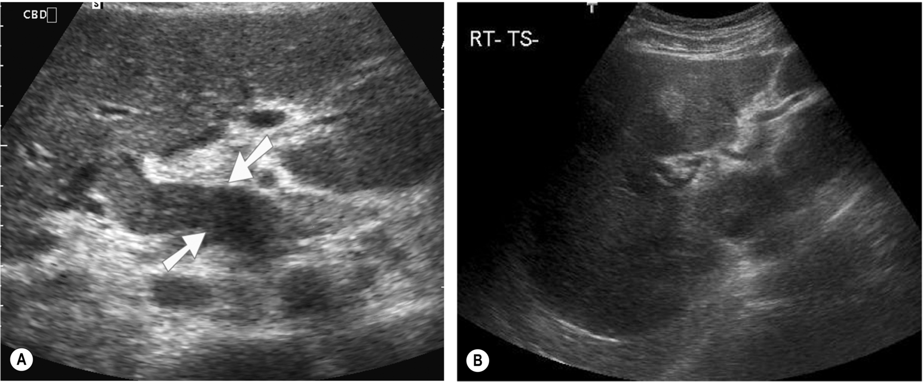 Fig. 3.47