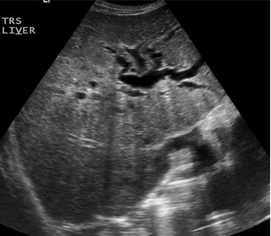 Fig. 3.49