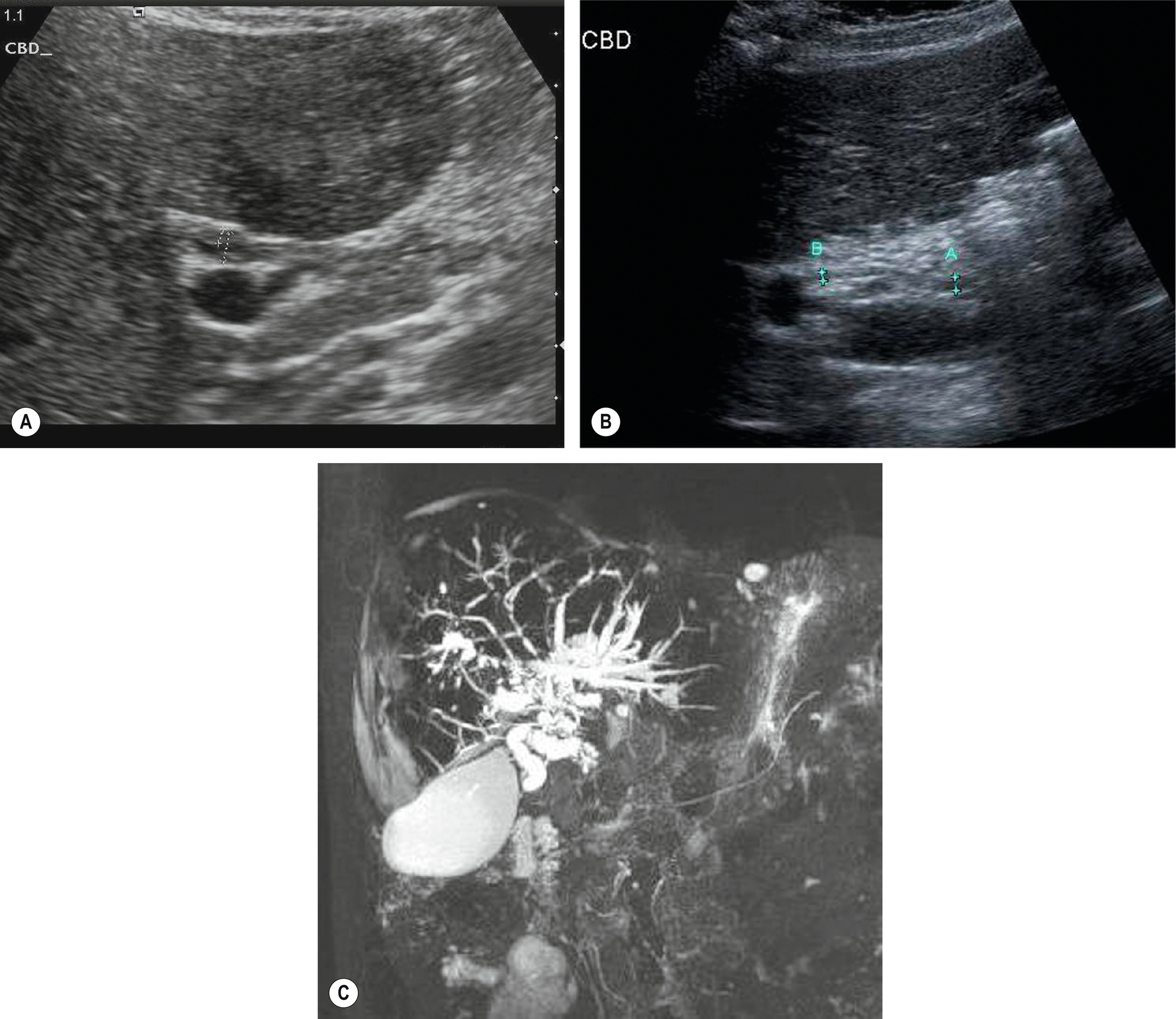 Fig. 3.50