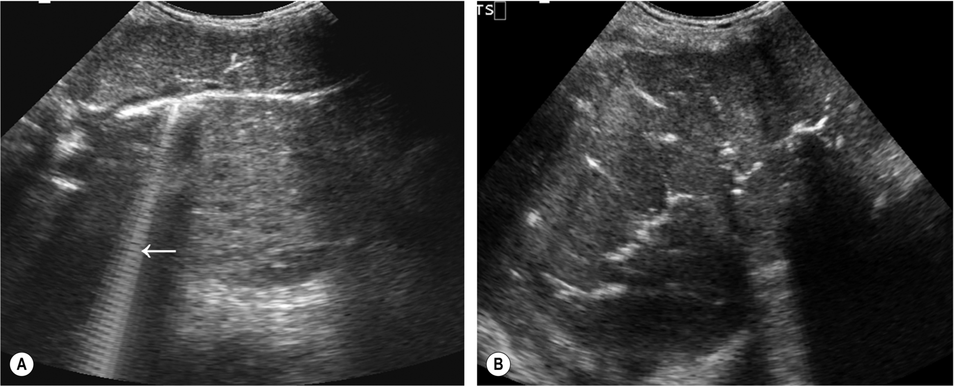 Fig. 3.56
