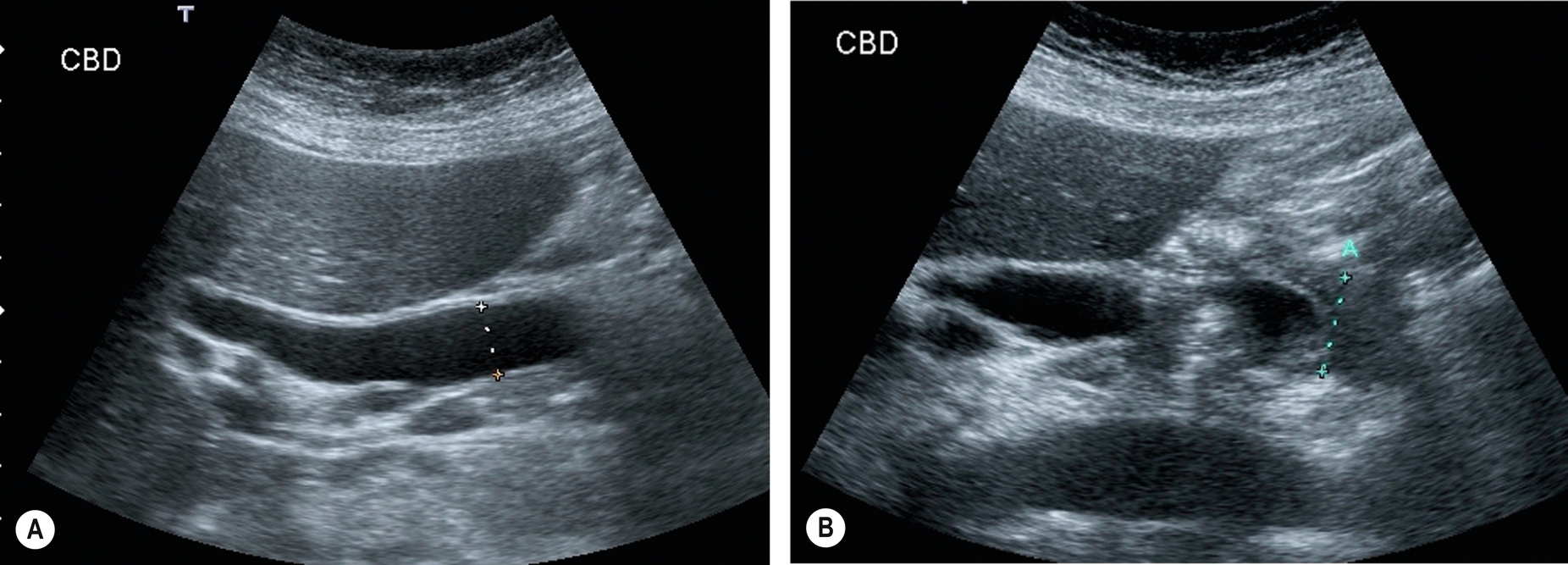 Fig. 3.58