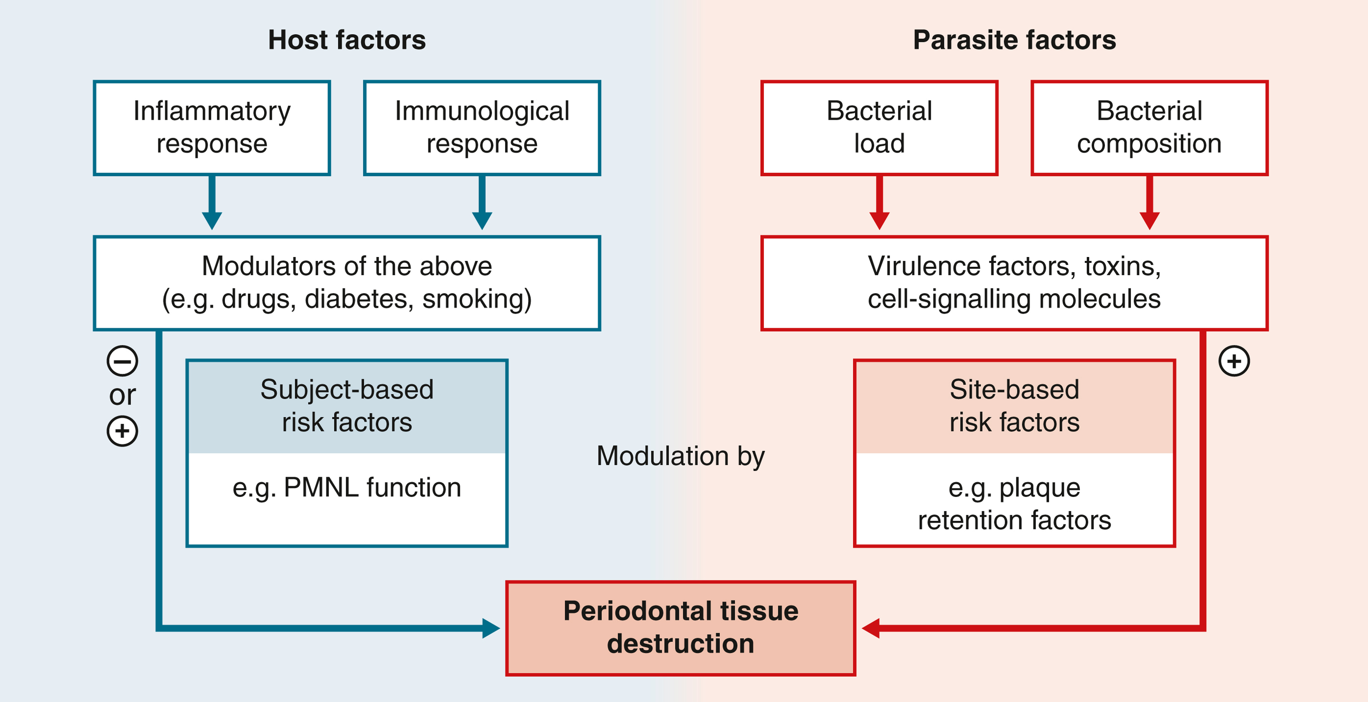 Periodontal Risk – Modifying And Predisposing Factors