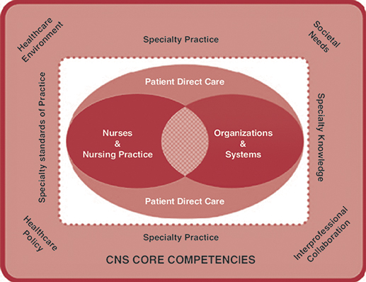 A chart for National Association of Clinical Nurse Specialists model is as follows:
• C N S core competencies include healthcare environment, societal needs, interprofessional collaboration, and health care policy.
• Specialty practice includes patient direct care.
• Specialty knowledge and specialty standards of practice include organizations and systems and nurses and nursing practice respectively.