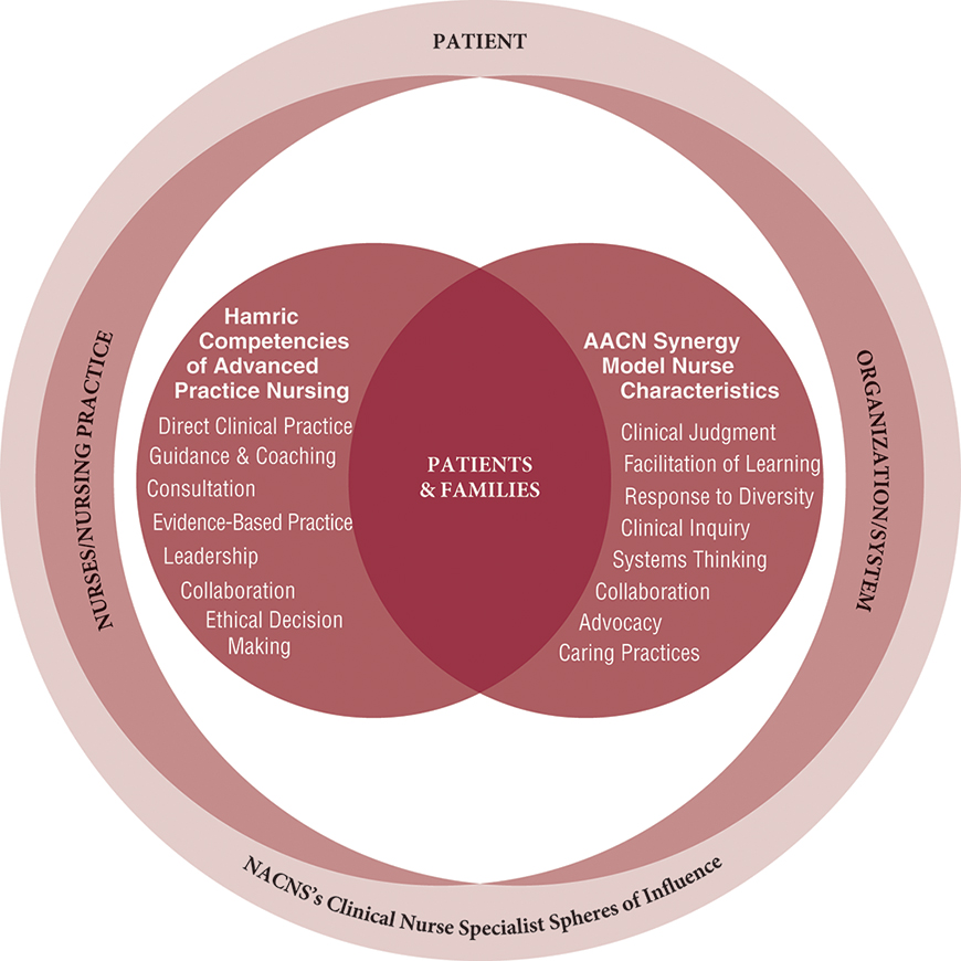 A chart for N A C N S model of C N S competencies is as follows:
• Patient and N A C N S's Clinical nurse specialist spheres of influence include nurses or nursing practice and organization or system.
• Two overlapping circles with patient and family at intersection shows the following:
• Hamric Competencies of Advanced Practice Nursing: Direct clinical practice, guidance and coaching, consultation, evidence-based practice, leadership, collaboration, and ethical decision making.
• A A C N Synergy Model Nurse Characteristics: Clinical judgment, facilitation of learning, response to diversity, clinical inquiry, systems thinking, collaboration, advocacy, and caring practices.