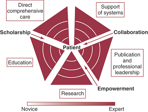 A chart of separated pentagon shows Strong Memorial Hospital's model of advanced practice nursing as follows:
• Part of pentagon are marked as direct comprehensive care, support of systems, publication and professional leadership, research, and education.
• Collaboration, empowerment, and scholarship leads to patient marked at the core.
• A color gradient scale at the bottom show novice marked at the extreme left with lightest color and expert marked at the extreme right with darkest color.