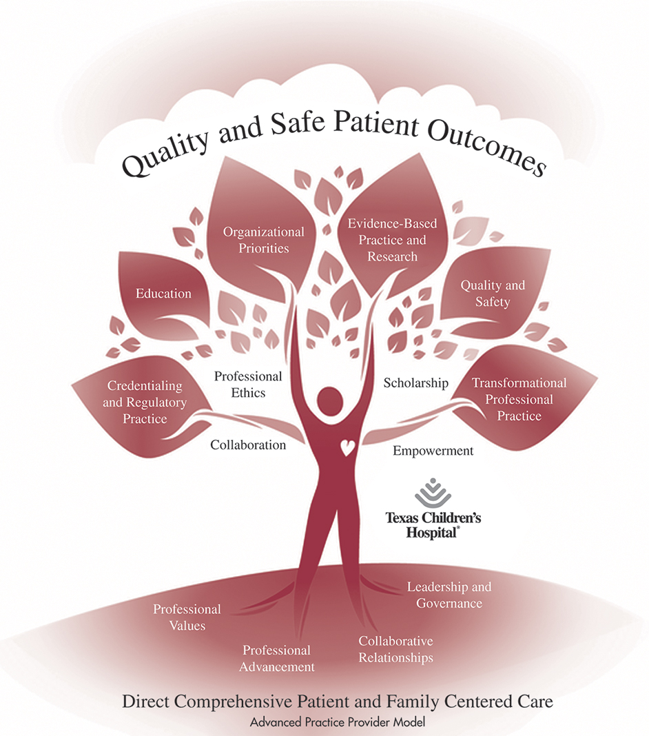 A chart of tree shows Strong Memorial Hospital's model of advanced practice nursing as follows:
• Roots are marked as leadership and governance, collaborative relationships, professional advancement, and professional values.
• branches are marked as collaboration, professional ethics, scholarship, and empowerment.
• quality and safe patient outcomes are marked on leaves as follows: credentialing and regulatory practice, education, organizational priorities, evidence-based practice and research, quality and safety, and transformation professional practice.