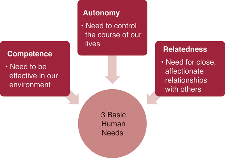 A chart for Self-determination theory shows 3 basic human needs as follows:
• Autonomy: Need to control the course of our lives.
• Relatedness: Need for close, affectionate relationships with others.
• Competence: Need to be effective in our environment